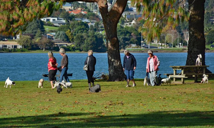 Park activity