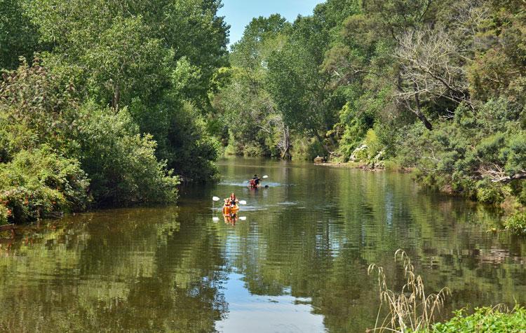 Kayaking down the river