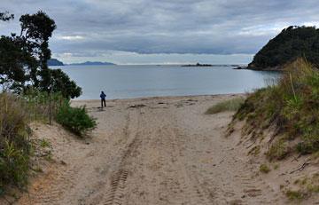 Access to the beach