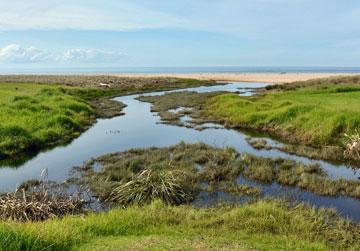 The junction of the two streams flowing into the harbour