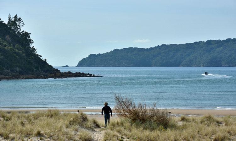 Walking to the beach