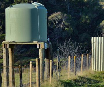 Fresh tank water available