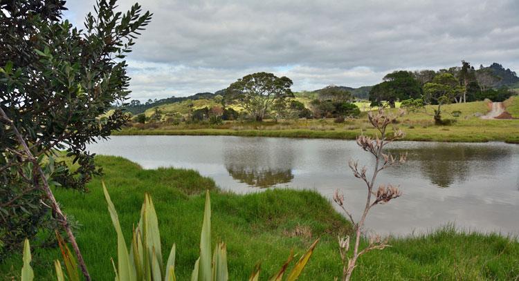 The Pungapunga River